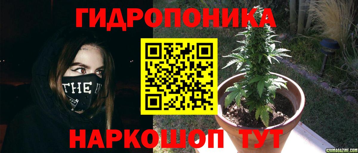 Канабис семена  Вход с VPN  Курчатов  Марихуана индика  Каннабис планчик 
